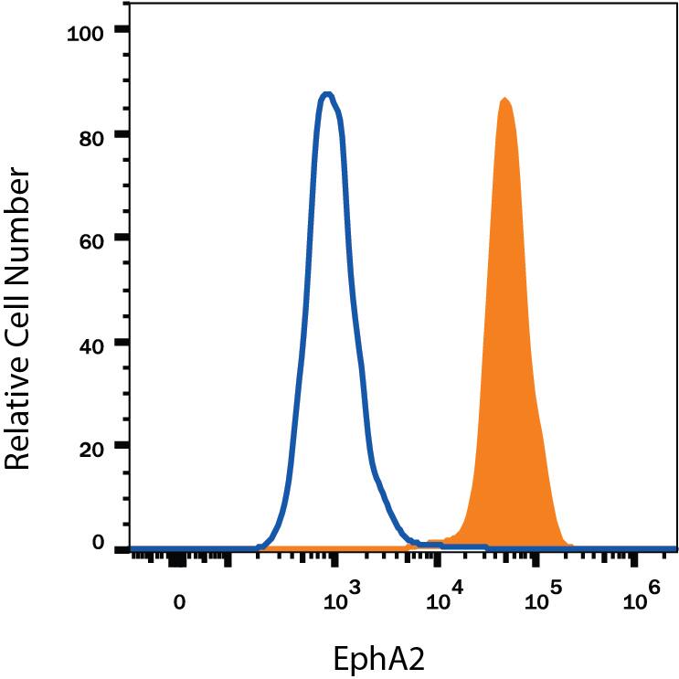 A431 human epithelial carcinoma cell line was stained with Goat Anti-Human EphA2 Antigen Affinity-purified Polyclonal Antibody (Catalog # AF3035, filled histogram) or isotype control antibody (Catalog # AB-108-C, open histogram), followed by Phycoerythrin-conjugated Anti-Goat IgG Secondary Antibody (Catalog # F0107). View our protocol for Staining Membrane-associated Proteins.