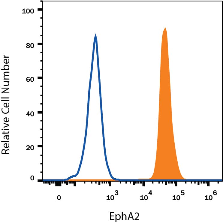 A431 human epithelial carcinoma cell line was stained with Goat Anti-Human EphA2 Biotinylated Antigen Affinity-purified Polyclonal Antibody (Catalog # BAF3035, filled histogram) or isotype control antibody (Catalog # BAF108, open histogram), followed by Streptavidin-Phycoerythrin (Catalog # F0040). View our protocol for Staining Membrane-associated Proteins.