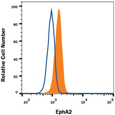 MS-1 mouse pancreatic islet endothelial cell line was stained with Rat Anti-Mouse EphA2 Alexa Fluor® 488-conjugated Monoclonal Antibody (Catalog # FAB639G, filled histogram) or isotype control antibody (Catalog # IC013G, open histogram). View our protocol for Staining Membrane-associated Proteins.