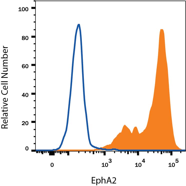 HEK293 human embryonic kidney cell line transfected with mouse EphA2 was stained with Rat Anti-Mouse EphA2 Monoclonal Antibody (Catalog # MAB639, filled histogram) or isotype control antibody (Catalog # MAB0061, open histogram), followed by Phycoerythrin-conjugated Anti-Rat IgG Secondary Antibody (Catalog # F0105B). View our protocol for Staining Membrane-associated Proteins.