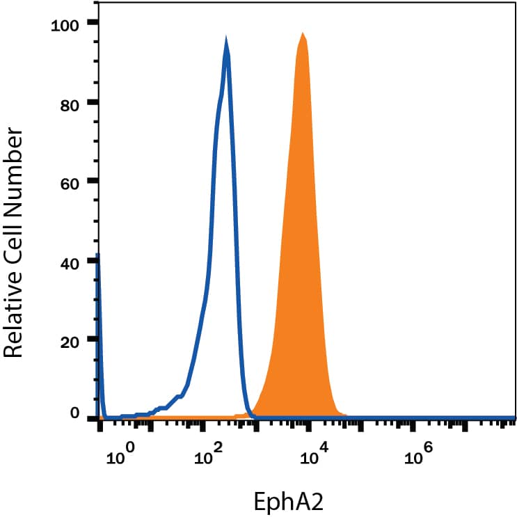 D3 mouse embryonic stem cell line was stained with Rat Anti-Mouse EphA2 Monoclonal Antibody (Catalog # MAB639, filled histogram) or isotype control antibody (Catalog # MAB0061, open histogram), followed by Phycoerythrin-conjugated Anti-Rat IgG Secondary Antibody (Catalog # F0105B). View our protocol for Staining Membrane-associated Proteins.
