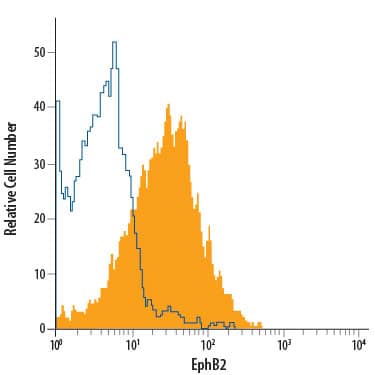 COLO 205 human colorectal adenocarcinoma cell line was stained with Rat Anti-Human/Mouse EphB2 APC-conjugated Monoclonal Antibody (Catalog # FAB467A, filled histogram) or isotype control antibody (Catalog # IC006A, open histogram). View our protocol for Staining Membrane-associated Proteins.