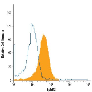 COLO 205 human colorectal adenocarcinoma cell line was stained with Rat Anti-Human/Mouse EphB2 PE-conjugated Monoclonal Antibody (Catalog # FAB467P, filled histogram) or isotype control antibody (Catalog # IC006P, open histogram). View our protocol for Staining Membrane-associated Proteins.