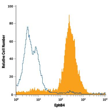 MCF-7 human breast cancer cell line was stained with Rat Anti-Human EphB4 PE-conjugated Monoclonal Antibody (Catalog # FAB3038P, filled histogram) or isotype control antibody (Catalog # IC005P, open histogram). View our protocol for Staining Membrane-associated Proteins.