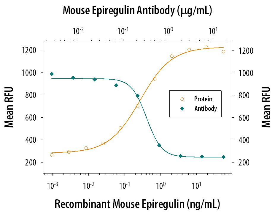 Recombinant Mouse Epiregulin (Catalog # 1068-EP) stimulates proliferation in the Balb/3T3 mouse embryonic fibroblast cell line in a dose-dependent manner (orange line). Proliferation elicited by Recombinant Mouse Epiregulin (3 ng/mL) is neutralized (green line) by increasing concentrations of Goat Anti-Mouse Epiregulin Antigen Affinity-purified Polyclonal Antibody (Catalog # AF1068). The ND50 is typically 0.3-1 µg/mL.