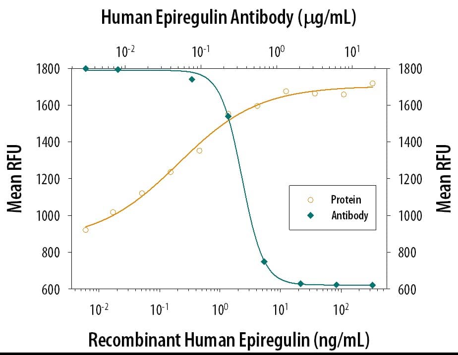 Recombinant Human Epiregulin (Catalog # 1195-EP) stimulates proliferation in the Balb/3T3 mouse embryonic fibroblast cell line in a dose-dependent manner (orange line). Proliferation elicited by Recombinant Human Epiregulin is neutralized (green line) by increasing concentrations of Goat Anti-Human Epiregulin Antigen Affinity-purified Polyclonal Antibody (Catalog # AF1195). The ND50 is typically ≤1.5 µg/mL.