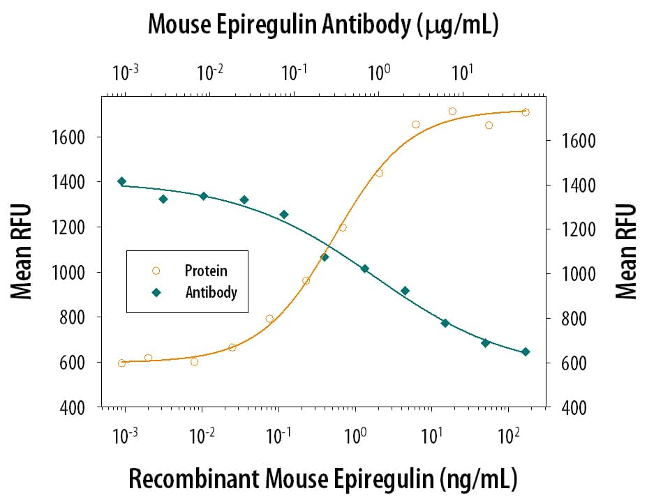 Recombinant Mouse Epiregulin (Catalog # 1068-EP) stimulates proliferation in the Balb/3T3 mouse embryonic fibroblast cell line in a dose-dependent manner (orange line). Proliferation elicited by Recombinant Mouse Epiregulin (3 ng/mL) is neutralized (green line) by increasing concentrations of Rat Anti-Mouse Epiregulin Monoclonal Antibody (Catalog # MAB1068). The ND50 is typically 0.2-1 µg/mL.