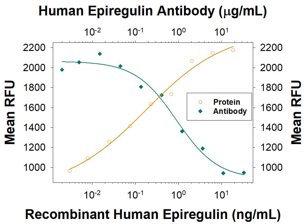 Recombinant Human Epiregulin (Catalog # 1195-EP) stimulates proliferation in the Balb/3T3 mouse embryonic fibroblast cell line in a dose-dependent manner (orange line) as measured by Resazurin (Catalog # AR002). Proliferation elicited by Recombinant Human Epiregulin (5 ng/mL) is neutralized (green line) by increasing concentrations of Mouse Anti-Human Epiregulin Monoclonal Antibody (Catalog # MAB14253R). The ND50 is typically 0.4-4 µg/mL.