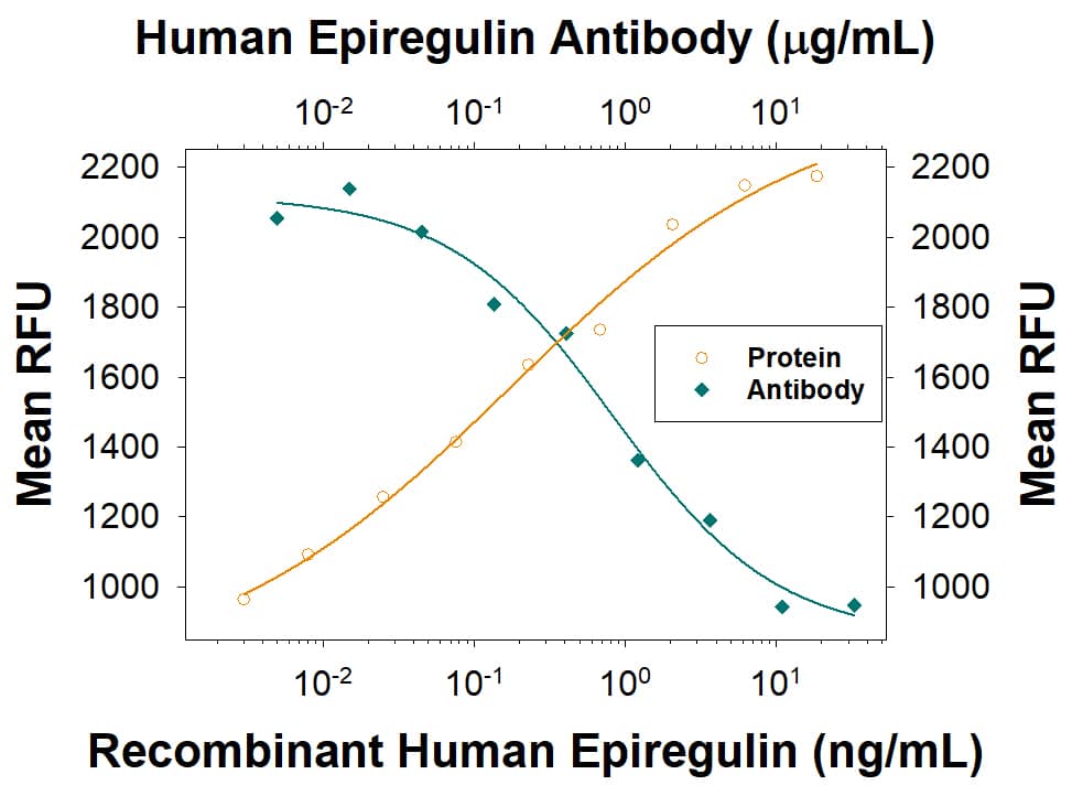 Recombinant Human Epiregulin (Catalog # 1195-EP) stimulates proliferation in the Balb/3T3 mouse embryonic fibroblast cell line in a dose-dependent manner (orange line) as measured by Resazurin (Catalog # AR002). Proliferation elicited by Recombinant Human Epiregulin (5 ng/mL) is neutralized (green line) by increasing concentrations of Mouse Anti-Human Epiregulin Monoclonal Antibody (Catalog # MAB14253). The ND50 is typically 0.2-1.2 µg/mL