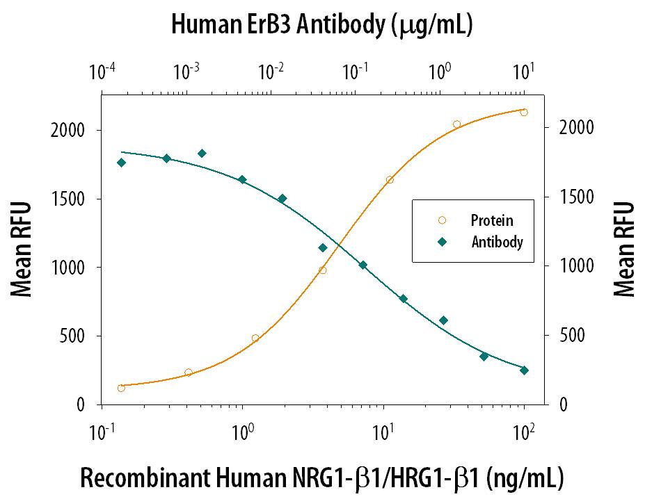 Neutralization ErbB3/Her3 Antibody