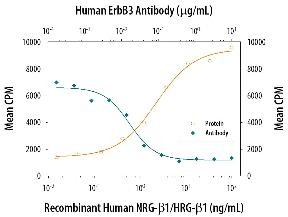 Neutralization ErbB3/Her3 Antibody (66223) [Unconjugated]