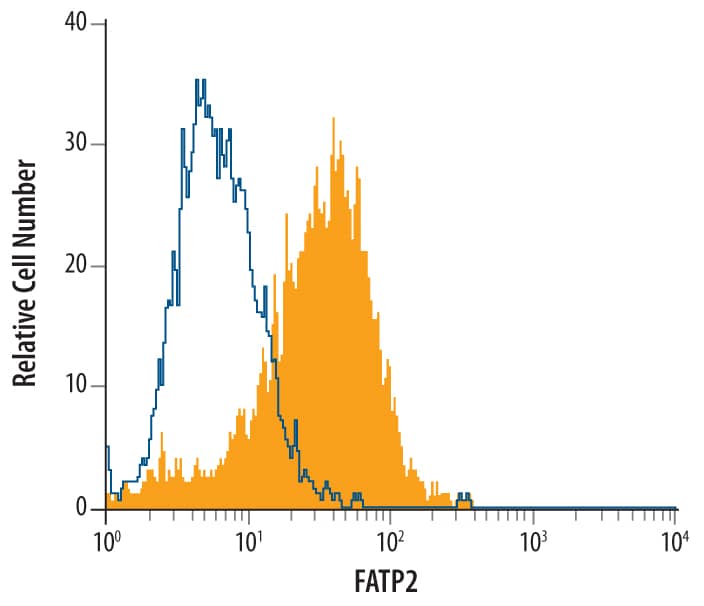 HepG2 human hepatocellular carcinoma cell line was stained with Mouse Anti-Human FATP2 Mono-clonal Anti-body (Catalog # MAB4659, filled histogram) or isotype control antibody (Catalog # MAB002, open histogram), followed by Phycoerythrin-conjugated Anti-Mouse IgG F(ab')2Secondary Anti-body (Catalog # F0102B). To facilitate intracellular staining, cells were fixed with paraformaldehyde and permeabilized with saponin.