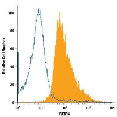 WS-1 human fetal skin fibroblast cell line was stained with Mouse Anti-Human FATP4 APC-conjugated Monoclonal Antibody (Catalog # FAB3650A, filled histogram) or isotype control antibody (Catalog # IC0041A, open histogram). View our protocol for Staining Membrane-associated Proteins.