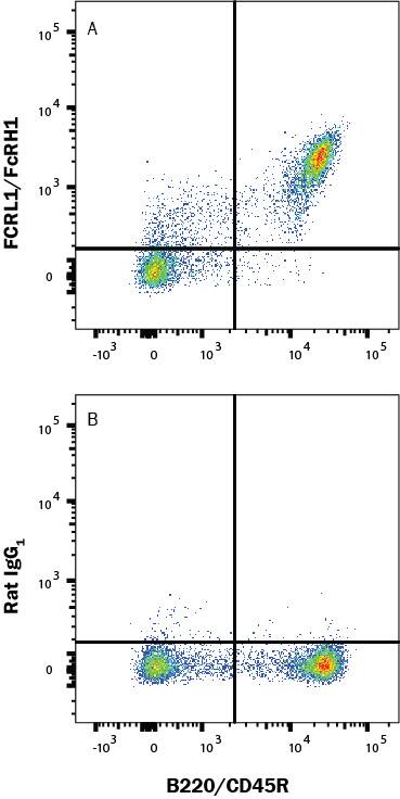 Mouse splenocytes were stained with (A) Rat Anti-Mouse FCRL1/FcRH1 Alexa Fluor® 647‑conjugated Monoclonal Antibody (Catalog # FAB7286R) or (B) Rat IgG1 Isotype Control (IC005R) and Rat Anti-Mouse B220/CD45R PE-conjugated Monoclonal Antibody (FAB1217P). Staining was performed using our Staining Membrane-associated Proteins protocol.