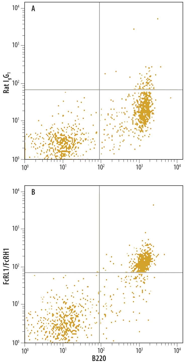 Mouse splenocytes were stained with Rat Anti-Mouse B220/CD45R APC-conjugated Monoclonal Antibody (Catalog # FAB1217A) and either (A) Rat IgG1 Isotype Control (Catalog # MAB005) or (B) Rat Anti-Mouse FCRL1/FcRH1 Monoclonal Antibody (Catalog # MAB7286) followed by Phycoerythrin-conjugated Anti-Rat IgG Secondary Antibody (Catalog # F0105B).