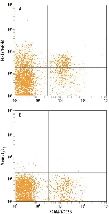 Human peripheral blood lymphocytes were stained with Mouse Anti-Human NCAM-1/CD56 PE-conjugated Monoclonal Antibody (Catalog # FAB2408P) and either (A) Mouse Anti-Human FCRL3/FcRH3 APC-conjugated Monoclonal Antibody (Catalog # FAB3126A) or (B) Mouse IgG1Allophycocyanin Isotype Control (Catalog # IC002A). View our protocol for Staining Membrane-associated Proteins.