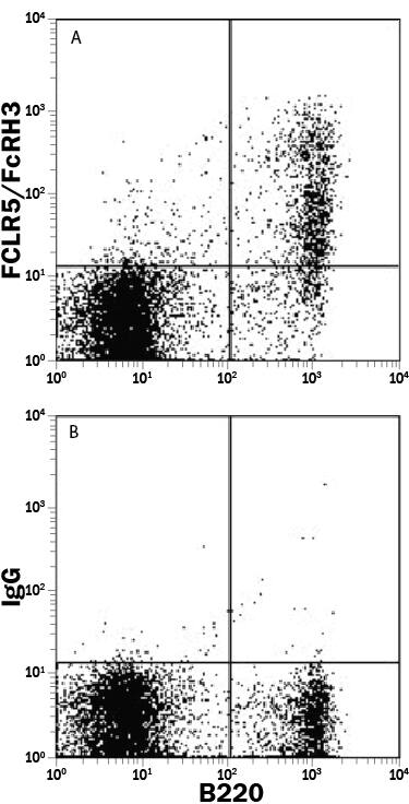 Mouse splenocytes were stained with Rat Anti-Mouse B220/CD45R Fluorescein-conjugated Monoclonal Antibody (Catalog # FAB1217F) and either (A) Sheep Anti-Mouse FCRL5 APC-conjugated Antigen Affinity-purified Polyclonal Antibody (Catalog # FAB6757A) or (B) Normal Sheep IgG Allophycocyanin Control (Catalog # IC016A). View our protocol for Staining Membrane-associated Proteins.