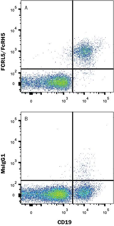 Human blood-derived lymphocytes were stained with (A) Mouse Anti-Human FCRL5 Monoclonal Antibody (Catalog # MAB20872) or (B) Mouse IgG1 isotype control antibody (MAB002), followed by Allophycocyanin-conjugated Anti-Mouse IgG F(ab')2 Secondary Antibody (F0101B) and PE-conjugated Mouse Anti-Human CD19 Monoclonal Antibody (FAB4867P).