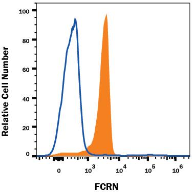 U937 human histiocytic lymphoma cell line was stained with Mouse Anti-Human FCRN Monoclonal Antibody (Catalog # MAB8639, filled histogram) or isotype control antibody (Catalog # MAB004, open histogram), followed by Allophycocyanin-conjugated Anti-Mouse IgG Secondary Antibody (Catalog # F0101B). To facilitate intracellular staining, cells were fixed and permeabilized with FlowX FoxP3 Fixation & Permeabilization Buffer Kit (Catalog # FC012). View our protocol for Staining Intracellular Molecules.