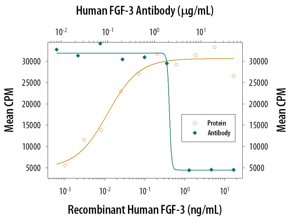 Recombinant Human FGF-3 (1206-F3) stimulates proliferation in the the NR6R-3T3 mouse fibroblast cell line in a dose-dependent manner (orange line). Proliferation elicited by Recombinant Human FGF-3 (0.3 µg/mL) is neutralized (green line) by increasing concentrations of Goat Anti-Human FGF-3 Antigen Affinity-purified Polyclonal Antibody (Catalog # AF1206). The ND50 is typically 1-4 µg/mL in the presence of heparin (1 µg/mL).
