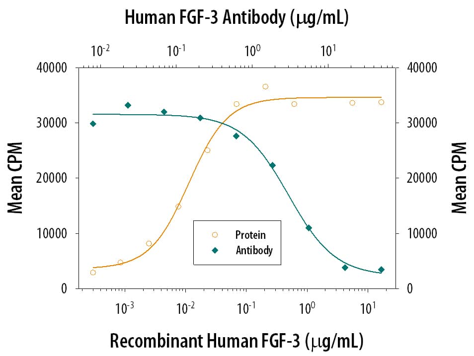 Recombinant Human FGF-3 (Catalog # 1206-F3) stimulates proliferation in the the NR6R-3T3 mouse fibroblast cell line in a dose-dependent manner (orange line). Proliferation elicited by Recombinant Human FGF-3 (0.3 µg/mL) is neutralized (green line) by increasing concentrations of Mouse Anti-Human FGF-3 Monoclonal Antibody (Catalog # MAB1206). The ND50 is typically 2-5 µg/mL in the presence of heparin (1 µg/mL).