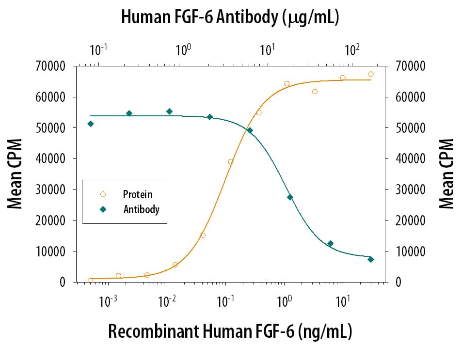 Recombinant Human FGF-6 (Catalog # 238-F6) stimulates proliferation in the NR6R-3T3 mouse fibroblast cell line in a dose-dependent manner (orange line). Proliferation elicited by Recombinant Human FGF-6 (1 ng/mL) is neutralized (green line) by increasing concentrations of Goat Anti-Human FGF-6 Polyclonal Antibody (Catalog # AB-238-NA). The ND50 is typically 15-25 µg/mL.