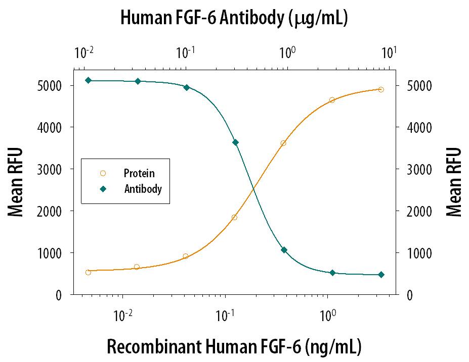 Recombinant Human FGF-6 (Catalog # 238-F6) stimulates proliferation in the the NR6R-3T3 mouse fibroblast cell line in a dose-dependent manner (orange line). Proliferation elicited by Recombinant Human FGF-6 (1 ng/mL) is neutralized (green line) by increasing concentrations of Goat Anti-Human FGF-6 Antigen Affinity-purified Polyclonal Antibody (Catalog # AF238). The ND50 is typically 0.2-1 µg/mL in the presence of heparin (1 µg/mL).