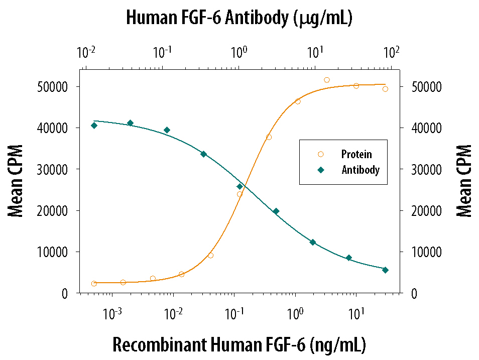 Recombinant Human FGF-6 (Catalog # 238-F6) stimulates proliferation in the the NR6R-3T3 mouse fibroblast cell line in a dose-dependent manner (orange line). Proliferation elicited by Recombinant Human FGF-6 (1 ng/mL) is neutralized (green line) by increasing concentrations of Mouse Anti-Human FGF-6 Monoclonal Antibody (Catalog # MAB238). The ND50 is typically 1-4 µg/mL in the presence of heparin (1 µg/mL).