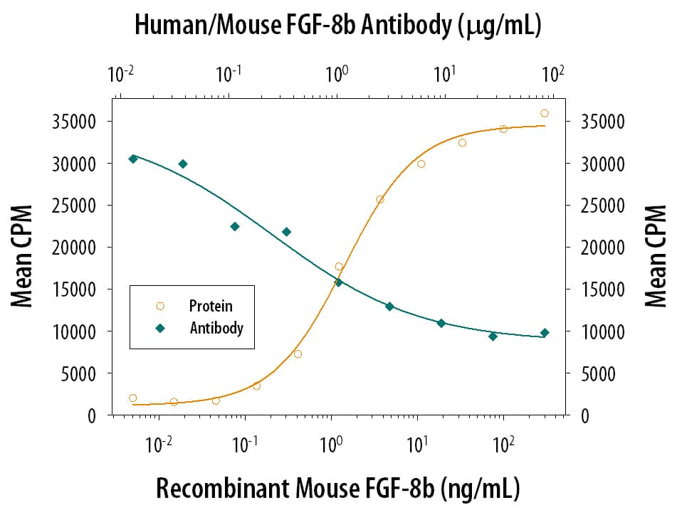 Recombinant Mouse FGF-8 c Isoform (Catalog # 424-FC) stimulates proliferation in the the NR6R-3T3 mouse fibroblast cell line in a dose-dependent manner (orange line). Proliferation elicited by Recombinant Mouse FGF-8 c Isoform (125 ng/mL) is neutralized (green line) by increasing concentrations of Mouse Anti-Human/Mouse FGF-8 Monoclonal Antibody (Catalog # MAB323). The ND50 is typically 0.25-0.75 µg/mL in the presence of heparin (0.1 µg/mL).