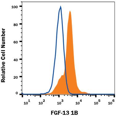 RPMI 8226 human multiple myeloma cell line was stained with Mouse Anti-Human FGF-13 1B Monoclonal Antibody (Catalog # MAB1909, filled histogram) or isotype control antibody (Catalog # MAB003, open histogram), followed by Allophycocyanin-conjugated Anti-Mouse IgG Secondary Antibody (Catalog # F0101B). To facilitate intracellular staining, cells were fixed with Flow Cytometry Fixation Buffer (Catalog # FC004) and permeabilized with Flow Cytometry Permeabilization/Wash Buffer I (Catalog # FC005). View our protocol for Staining Intracellular Molecules.