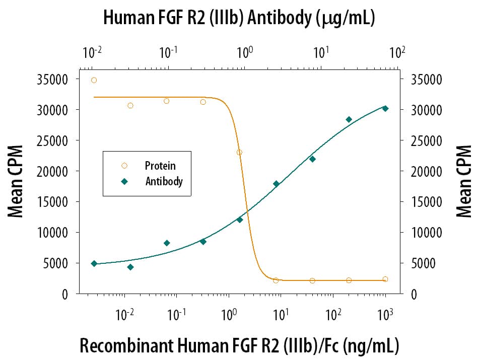 Recombinant Human FGF R2a (IIIb) Fc Chimera (Catalog # 663-FR) inhibits Recombinant Human FGF acidic (Catalog # 232-FA) induced proliferation in the NR6R‑3T3 mouse fibroblast cell line in a dose-dependent manner (orange line). Inhibition of Recombinant Human FGF acidic (0.3 ng/mL) activity elicited by Recombinant Human FGF R2a (IIIb) Fc Chimera (6 ng/mL) is neutralized (green line) by increasing concentrations of Human FGF R2 (IIIb) Monoclonal Antibody (Catalog # MAB665). The ND50 is typically 2-8 µg/mL in the presence of heparin (10 µg/mL).