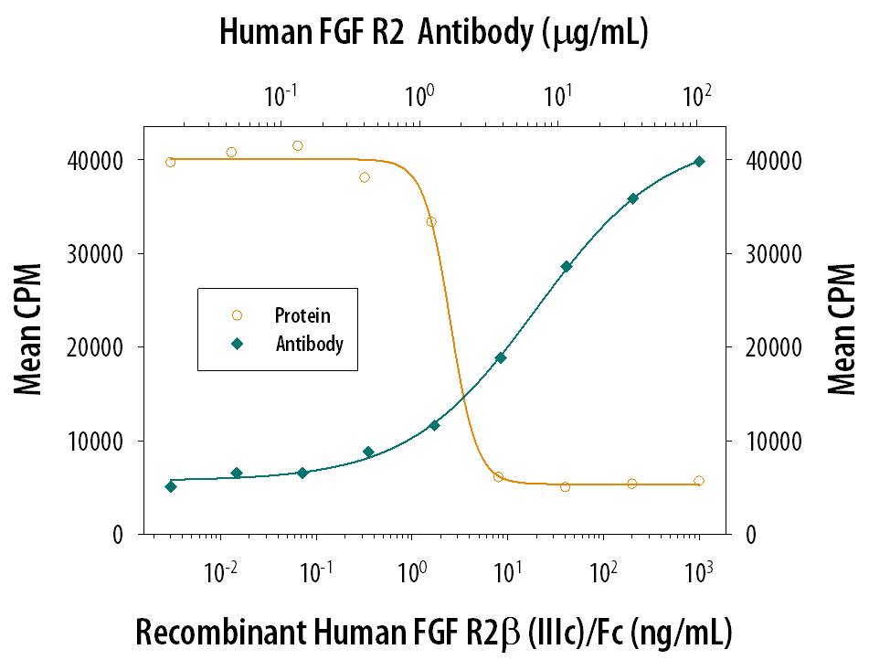 Recombinant Human FGF R2 beta  (IIIc) Fc Chimera (Catalog # 684-FR) inhibits Recombinant Human FGF acidic (Catalog # 232-FA) induced proliferation in the NR6R-3T3 mouse fibroblast cell line in a dose-dependent manner (orange line). Inhibition of Recombinant Human FGF acidic (0.3 ng/mL) activity elicited by Recombinant Human FGF R2 beta  (IIIc) Fc Chimera (6 ng/mL) is neutralized (green line) by increasing concentrations of Human FGF R2 Monoclonal Antibody (Catalog # MAB6843). The ND50 is typically 0.1-0.5 µg/mL in the presence of heparin (10 µg/mL).