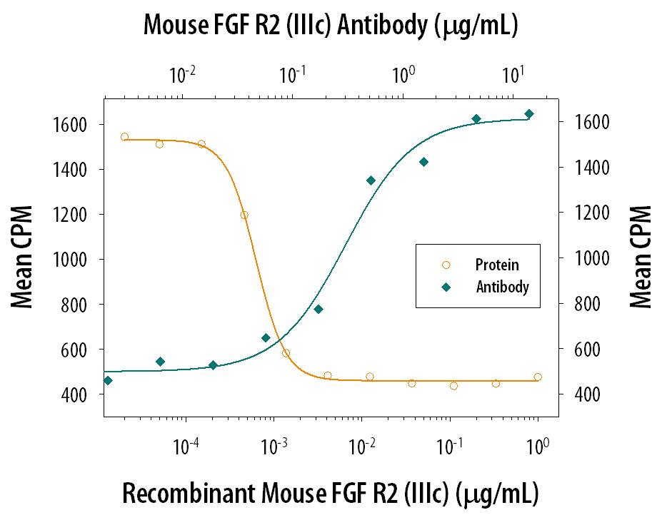 Recombinant Mouse FGF R2 beta  (IIIc) Fc Chimera (Catalog # 716-MF) inhibits Recombinant Human FGF acidic (Catalog # 232-FA) induced proliferation in the NR6R-3T3 mouse fibroblast cell line in a dose-dependent manner (orange line). Inhibition of Recombinant Human FGF acidic (0.3 ng/mL) activity elicited by Recombinant Mouse FGF R2 beta  (IIIc) Fc Chimera (3 ng/mL) is neutralized (green line) by increasing concentrations of Rat Anti-Mouse FGF R2 (IIIc) Monoclonal Antibody (Catalog # MAB716). The ND50 is typically 0.1-0.4 µg/mL in the presence of heparin (10 µg/mL).