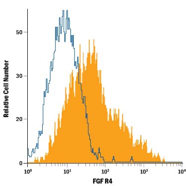 MCF-7 human breast cancer cell line was stained with Rat Anti-Human FGF R4 PE-conjugated Monoclonal Antibody (Catalog # FAB6852P, filled histogram) or isotype control antibody (IC006P, open histogram). View our protocol for Staining Membrane-associated Proteins.