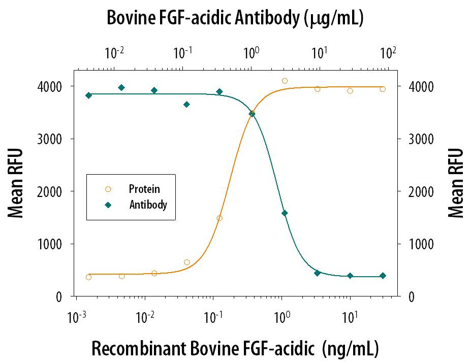 Bovine FGF acidic/FGF1 (Catalog # 132-FA) stimulates proliferation in the NR6R-3T3 mouse fibroblast cell line in a dose-dependent manner (orange line). Proliferation elicited by Bovine FGF acidic/FGF1 (0.75 ng/mL) is neutralized (green line) by increasing concentrations of Rabbit Anti-Bovine FGF acidic/FGF1 Polyclonal Antibody (Catalog # AB-32-NA). The ND50 is typically 1-3 µg/mL.