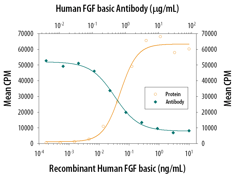 Recombinant Human FGF basic/FGF2/bFGF 146 aa (Catalog # 233-FB) stimulates proliferation in the NR6R-3T3 mouse fibroblast cell line in a dose-dependent manner (orange line). Proliferation elicited by Recombinant Human FGF basic/FGF2/bFGF 146 aa (0.5 ng/mL) is neutralized (green line) by increasing concentrations of Goat Anti-Human FGF basic/FGF2/bFGF Polyclonal Antibody (Catalog # AB-233-NA). The ND50 is typically 0.5-1.0 µg/mL.