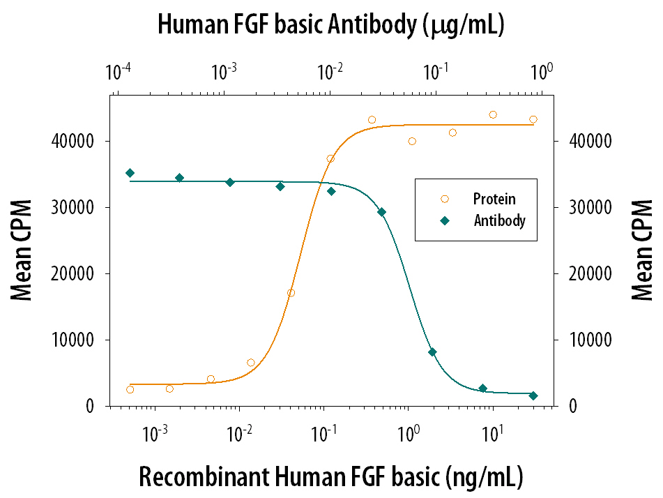 Bovine FGF basic/FGF2/bFGF (Catalog # 133-FB) stimulates proliferation in the NR6R-3T3 mouse fibroblast cell line in a dose-dependent manner (orange line). Proliferation elicited by Bovine FGF basic/FGF2/bFGF (0.5 ng/mL) is neutralized (green line) by increasing concentrations of Goat Anti-Human FGF basic/FGF2/bFGF Antigen Affinity-purified Polyclonal Antibody (Catalog # AF-233-NA). The ND50 is typically 0.08-0.4 µg/mL.