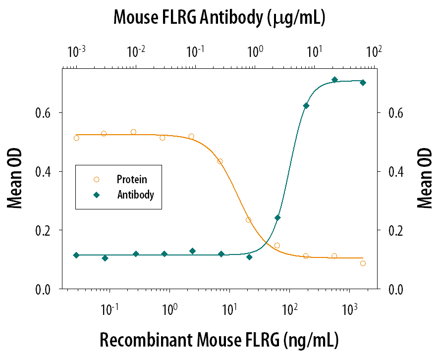 Recombinant Mouse Follistatin-related Gene Protein/FLRG (Catalog # 1255-F3) inhibits Recombinant Human/Mouse/Rat Activin A (Catalog # 338-AC) induced hemoglobin expression in the K562 human chronic myelogenous leukemia cell line in a dose-dependent manner (orange line), as measured by the psuedoperoxidase assay. Inhibition of Recombinant Human/Mouse/Rat Activin A (7.5 ng/mL) activity elicited by Recombinant Mouse Follistatin-related Gene Protein/FLRG (0.1 µg/mL) is neutralized (green line) by increasing concentrations of Goat Anti-Mouse Follistatin-related Gene Protein/FLRG Antigen Affinity-purified Polyclonal Antibody (Catalog # AF1255). The ND50 is typically 3-12 µg/mL.