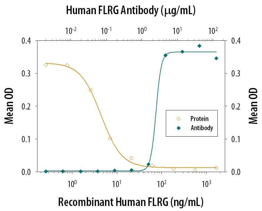Recombinant Human Follistatin-related Gene Protein/FLRG (Catalog # 1288-F3) inhibits Recombinant Human/Mouse/Rat Activin A (Catalog # 338-AC) induced hemoglobin expression in the K562 human chronic myelogenous leukemia cell line in a dose-dependent manner (orange line), as measured by the psuedoperoxidase activity. Inhibition of Recombinant Human/Mouse/Rat Activin A (7.5 ng/mL) activity elicited by Recombinant Human Follistatin-related Gene Protein/ FLRG (0.1 µg/mL) is neutralized (green line) by increasing concentrations of Goat Anti-Human Follistatin-related Gene Protein/FLRG Antigen Affinity-purified Polyclonal Antibody (Catalog # AF1288). The ND50 is typically 1-4 µg/mL.
