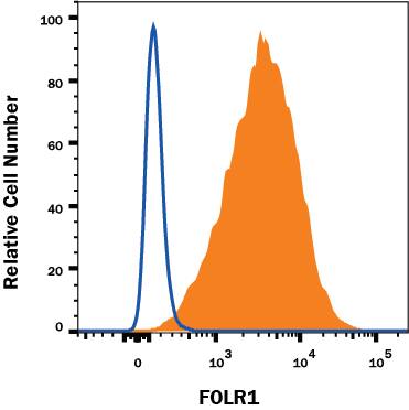 MCF-7 human breast cancer cell line was stained with Mouse Anti-Human FOLR1 PE-conjugated Monoclonal Antibody (Catalog # FAB5646P, filled histogram) or isotype control antibody (IC002P, open histogram). View our protocol for Staining Membrane-associated Proteins.