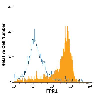 Human monocytes were stained with Mouse Anti-Human FPR1 PE-conjugated Monoclonal Antibody (Catalog # FAB3744P, filled histogram) or isotype control antibody (Catalog # IC003P, open histogram). View our protocol for Staining Membrane-associated Proteins.