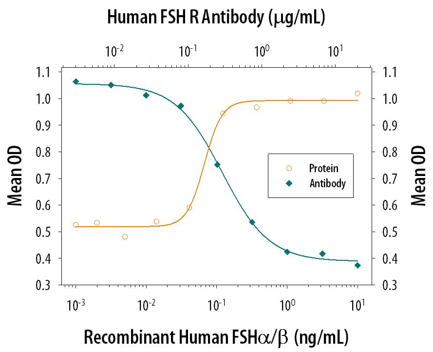 Recombinant Human FSH a/ beta  (Catalog # 5925-FS) induces cAMP production in the HEK293 human embryonic kidney cell line transfected with human FSH R in a dose-dependent manner (orange line), as measured by the cAMP Parameter Assay Kit (Catalog # KGE002B). cAMP production elicited by Recom-binant Human FSH a/ beta  (1 ng/mL) is neutralized (green line) by increasing concentrations of Mouse Anti-Human FSH R Monoclonal Antibody (Catalog # MAB65591). The ND50 is typically 0.02-0.1 µg/mL.