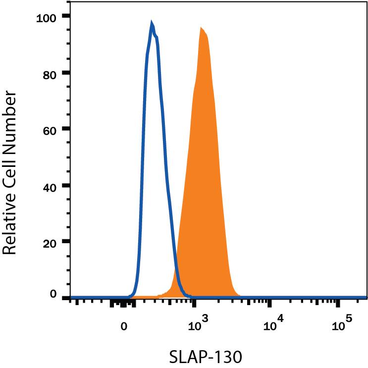 Jurkat human acute T cell leukemia cell line was stained with Mouse Anti-Human FYB/ADAP/SLAP130 Alexa Fluor® 405-conjugated Monoclonal Antibody (Catalog # IC38571V, filled histogram) or isotype control antibody (Catalog # IC0041V, open histogram). To facilitate intracellular staining, cells were fixed with paraformaldehyde and permeabilized with methanol.