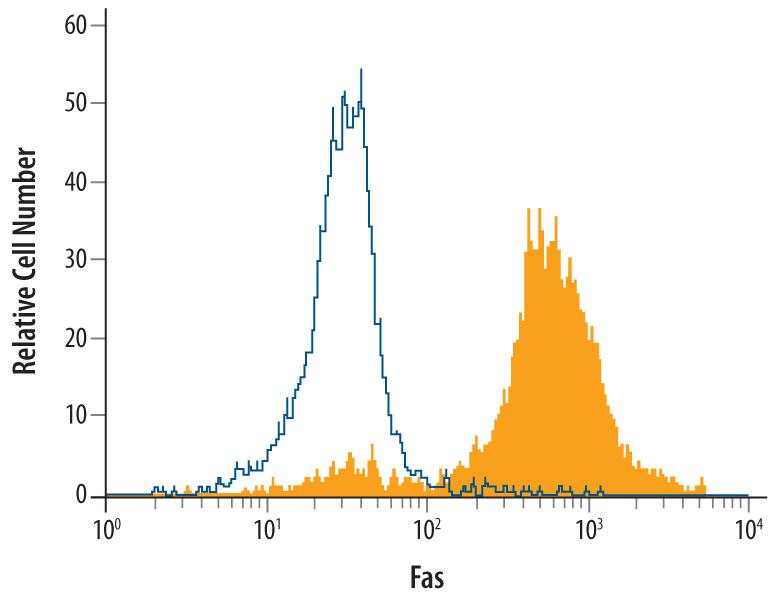 Feline peripheral blood mononuclear cells were stained with Feline Fas/TNFRSF6/CD95 Antigen Affinity-purified Polyclonal Antibody (Catalog # AF2267, filled histogram) or isotype control antibody (Catalog # AB-108-C, open histogram), followed by Phycoerythrin-conjugated Anti-Goat IgG Secondary Antibody (Catalog # F0107).