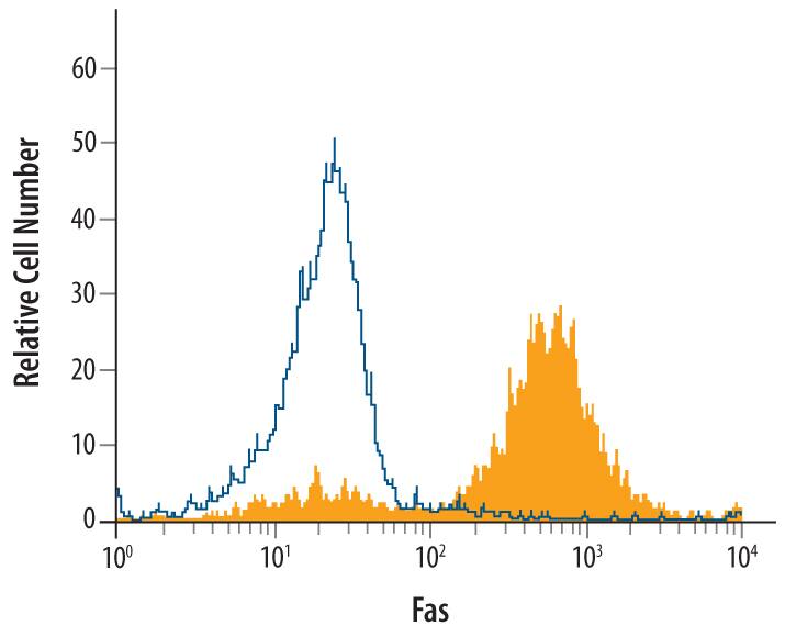 Feline peripheral blood mononuclear cells were treated with PMA and Ca2+ionomycin, then stained with Goat Anti-Feline Fas/TNFRSF6/ CD95 Biotinylated Antigen Affinity-purified Polyclonal Antibody (Catalog # BAF2267, filled histogram) or isotype control antibody (Catalog # BAF108, open histogram), followed by Streptavidin-Phycoerythrin (Catalog # F0040).