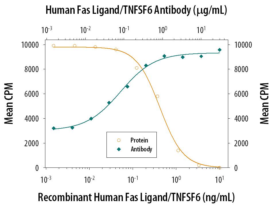 Recombinant Human Fas Ligand/ TNFSF6 (Catalog # 126-FL) induces apoptosis in the Jurkat human acute T cell leukemia cell line in a dose-dependent manner (orange line). Apoptosis elicited by Recombinant Human Fas Ligand/TNFSF6 (2 ng/mL) is neutralized (green line) by increasing concentrations of Goat Anti-Human Fas Ligand/ TNFSF6 Polyclonal Antibody (Catalog # AB126). The ND50 is typically 0.05-0.2 µg/mL.