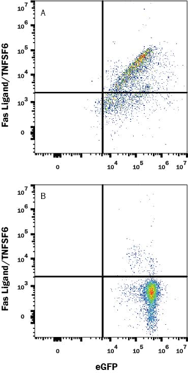 Flow Cytometry Fas Ligand/TNFSF6 Antibody [Unconjugated]