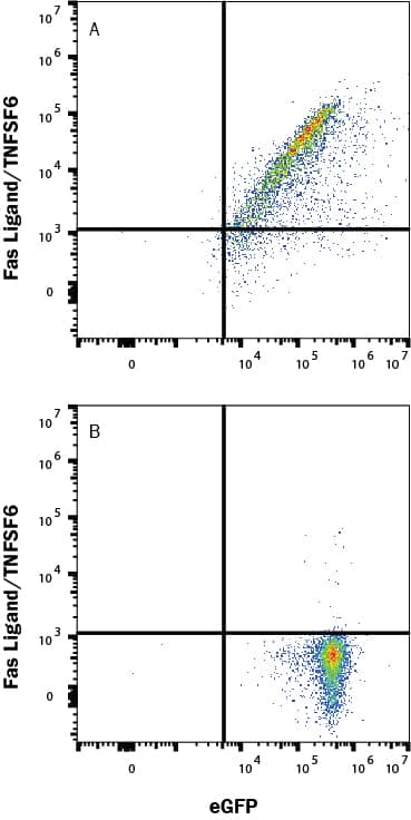 Flow Cytometry Fas Ligand/TNFSF6 Antibody (100419) [Unconjugated]