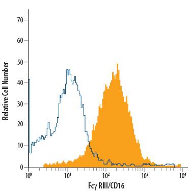 RAW 264.7 mouse monocyte/macrophage cell line was stained with Rat Anti-Mouse Fc gamma RIII (CD16) PE-conjugated Monoclonal Antibody (Catalog # FAB19601P, filled histogram) or isotype control antibody (Catalog # IC006P, open histogram). View our protocol for Staining Membrane-associated Proteins.