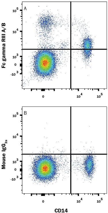 Human peripheral blood mononuclear cells (PBMCs) were stained with Mouse Anti-Human CD14 APC-conjugated Monoclonal Antibody (Catalog # FAB3832A) and either (A) Mouse Anti-Human Fc gamma RIII (CD16) Biotinylated Monoclonal Antibody (Catalog # FAB2546B) or (B) Mouse IgG2ABiotinylated Isotype Control (IC003B) followed by Streptavidin-Phycoerythrin (F0040). View our protocol for Staining Membrane-associated Proteins.